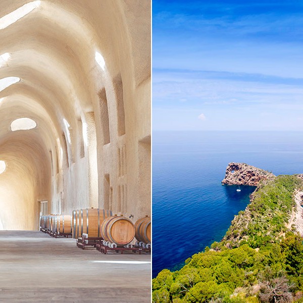 Planes de Mallorca en otoño