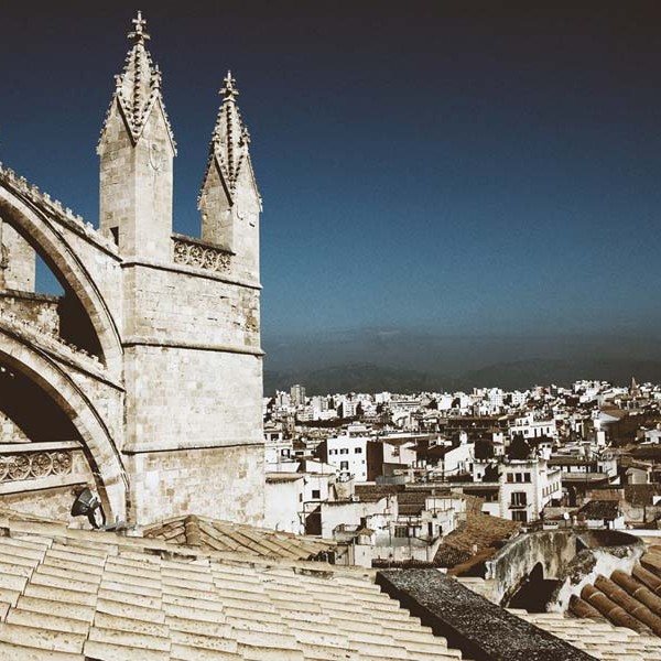 Palma desde el cielo de la Catedral