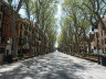Paseo del Borne: the soul of the city